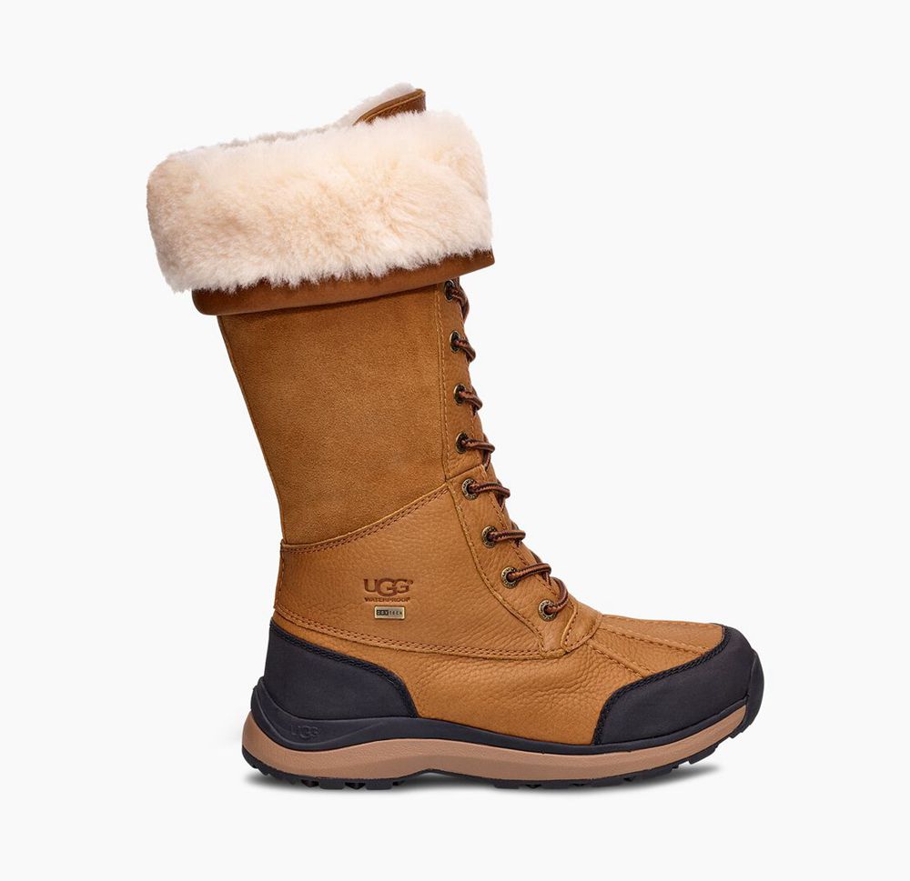 Ugg Tall Boots Canada - Ugg Women's Adirondack Iii Brown